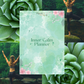Inner Calm Planner | Flower